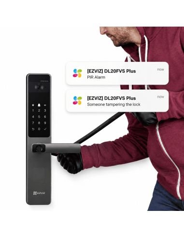 Cerradura Inteligente EZVIZ DL20FVS, referencia CS-DL20FVS-R201-WBP-GR, detalle de conectores y puertos